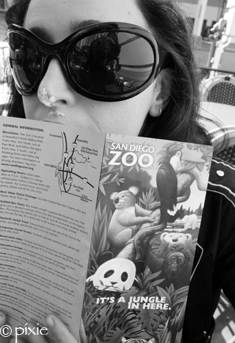 Roo_Zoo_Revue_complete_with_frosting_nose.jpg