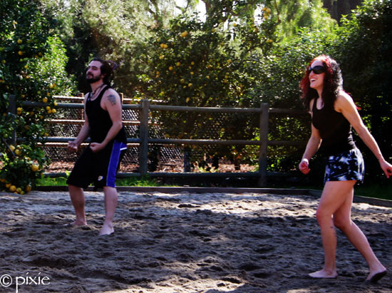 Volleyball_meets_pro_wrestling.jpg