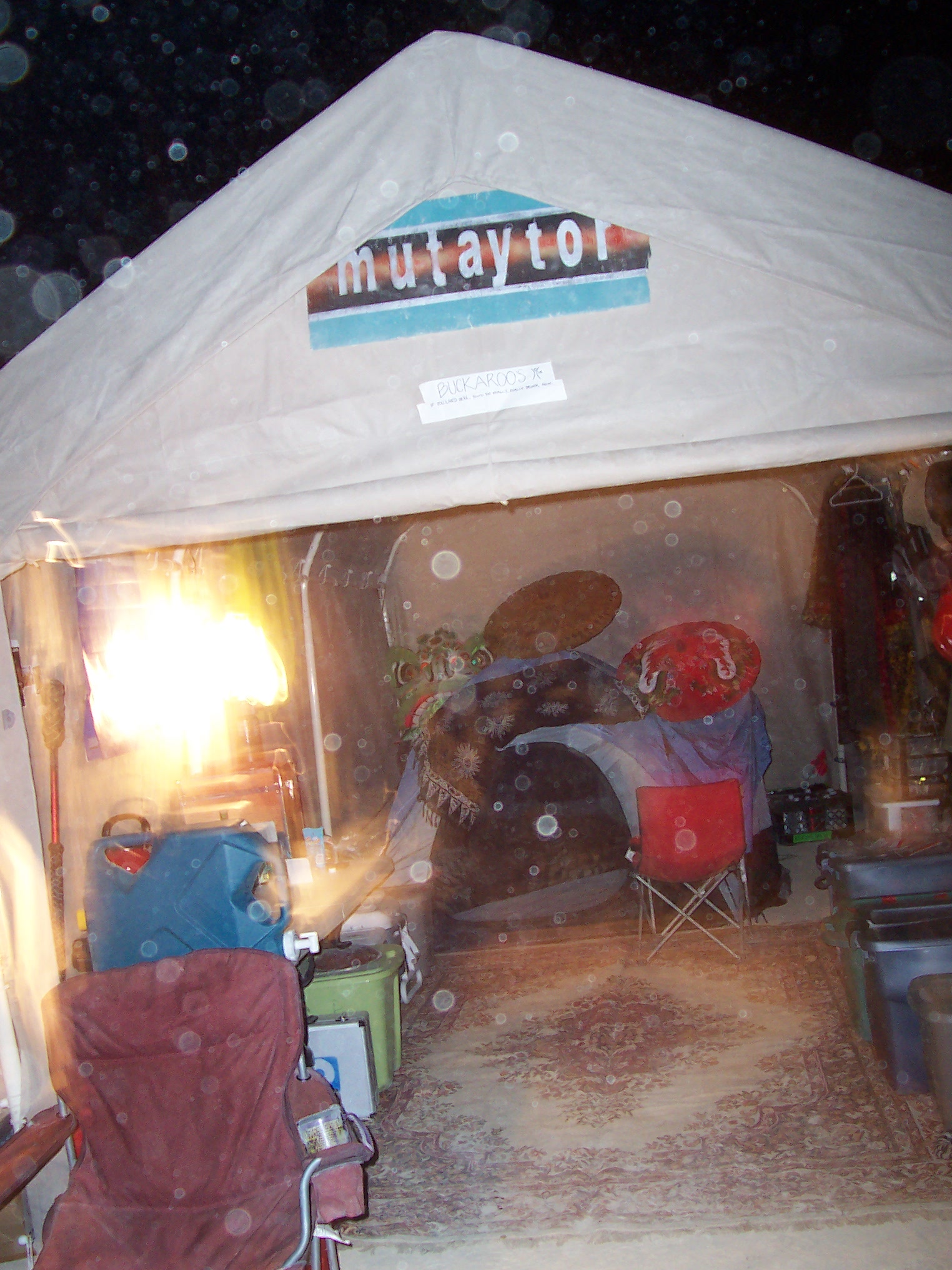 100_2554.jpg