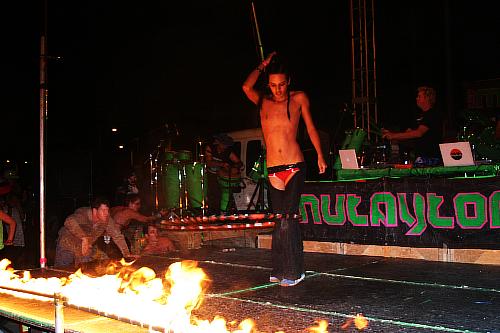 medium_img_4345.jpg