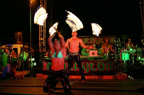 medium_img_4355.jpg