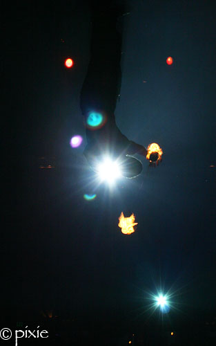 249_G.jpg